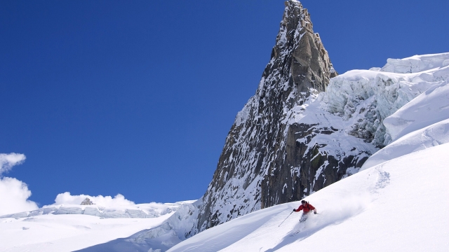 bat365集团：园林绿化主要害虫