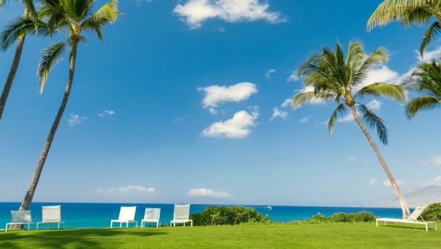 bat365集团：园林绿化种树要求