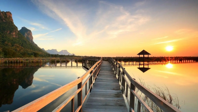 园林绿化用什么泥