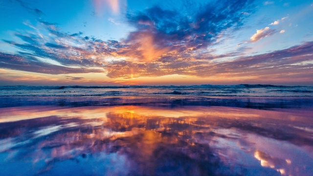 bat365中国：园林绿化谭瑞