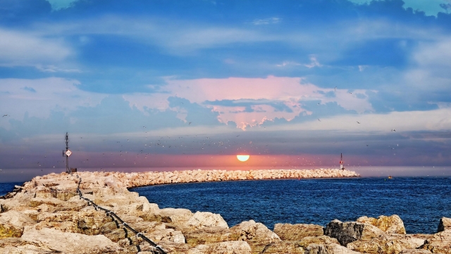 bat365公司：园林绿化乔木距离