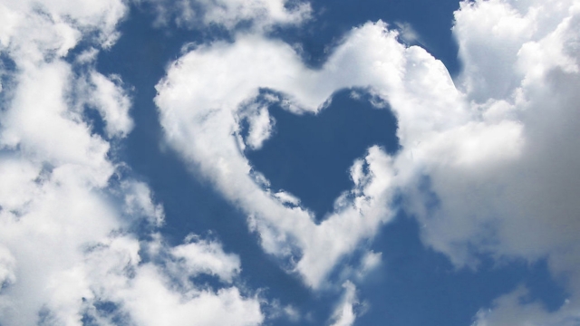 bat365：园林绿化常用的杀虫剂农药