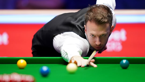 园林绿化长叶草