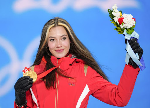 园林绿化防治病虫害打药