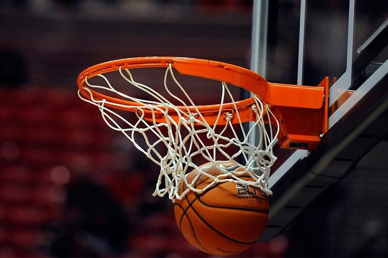 bat365：园林绿化培育花卉种类