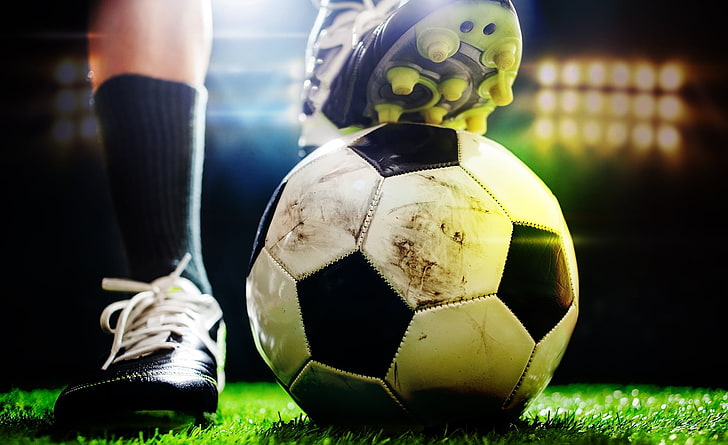 bat365中国：园林管理问题不容忽视，整改方案全面展开，为每个角落带来清新！