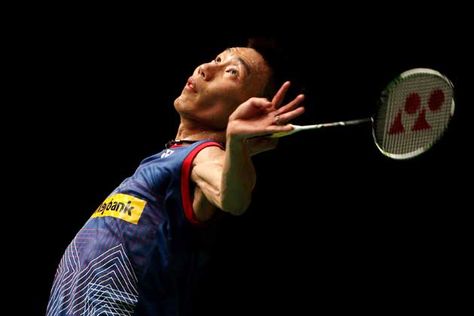 园林绿化造型松景观松